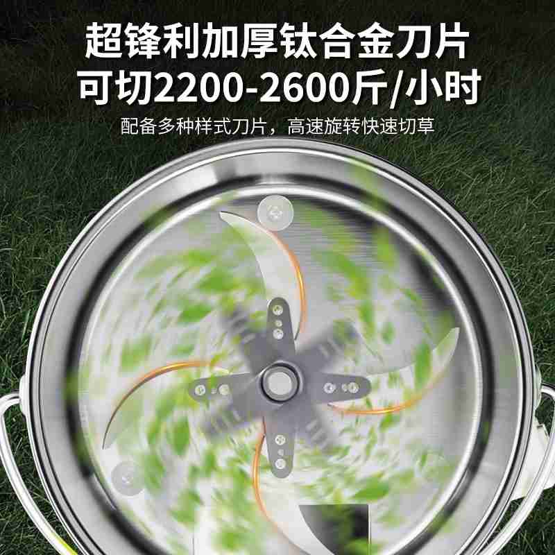全国政协委员,北京史家教育集团党委书记、总校长洪伟。受访者供图